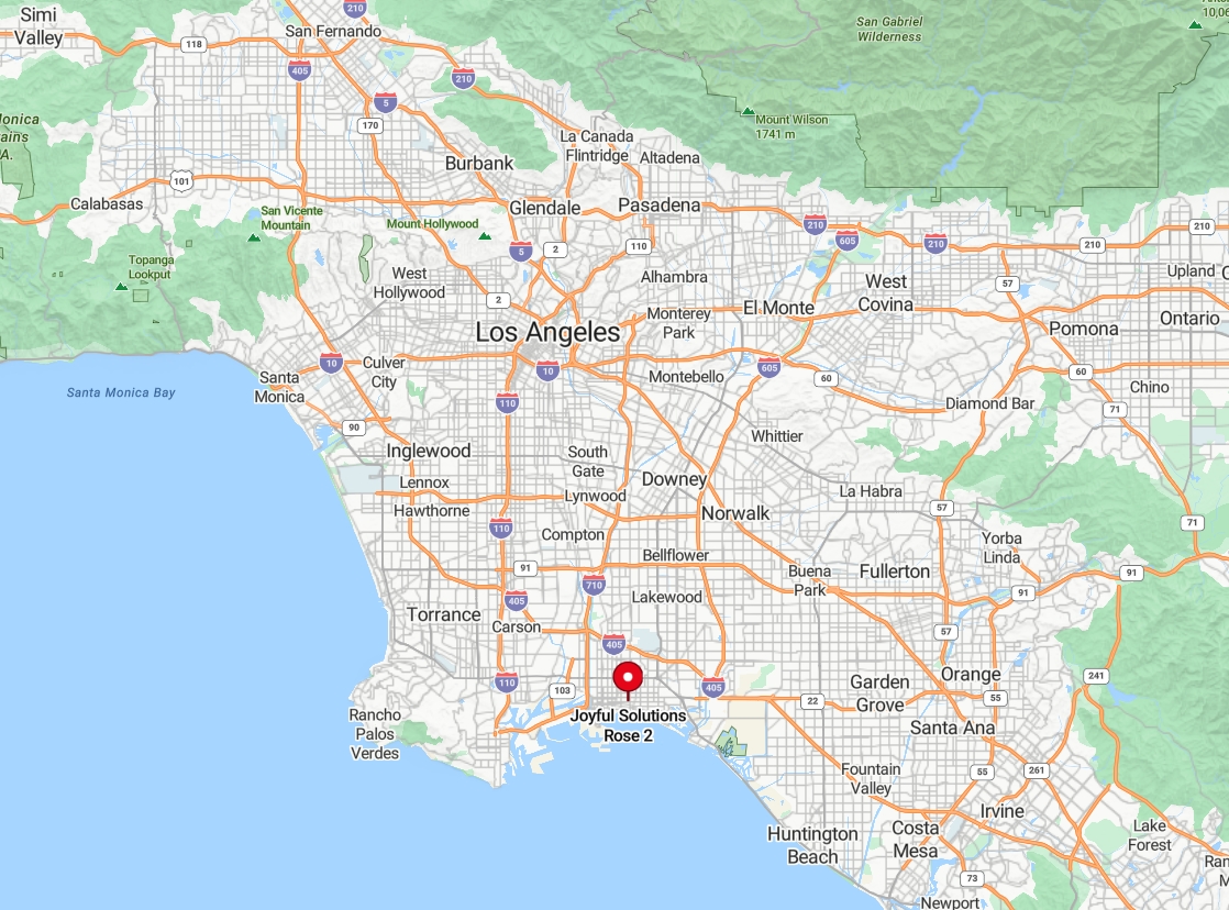 Joyful Solutions Rose 2/ Men